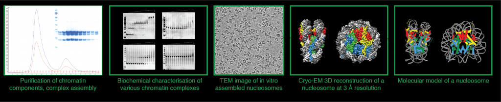 Figure 2: Bottom-up approach provides structural information at high resolution and under controlled conditions.