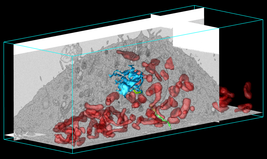 3D dataset