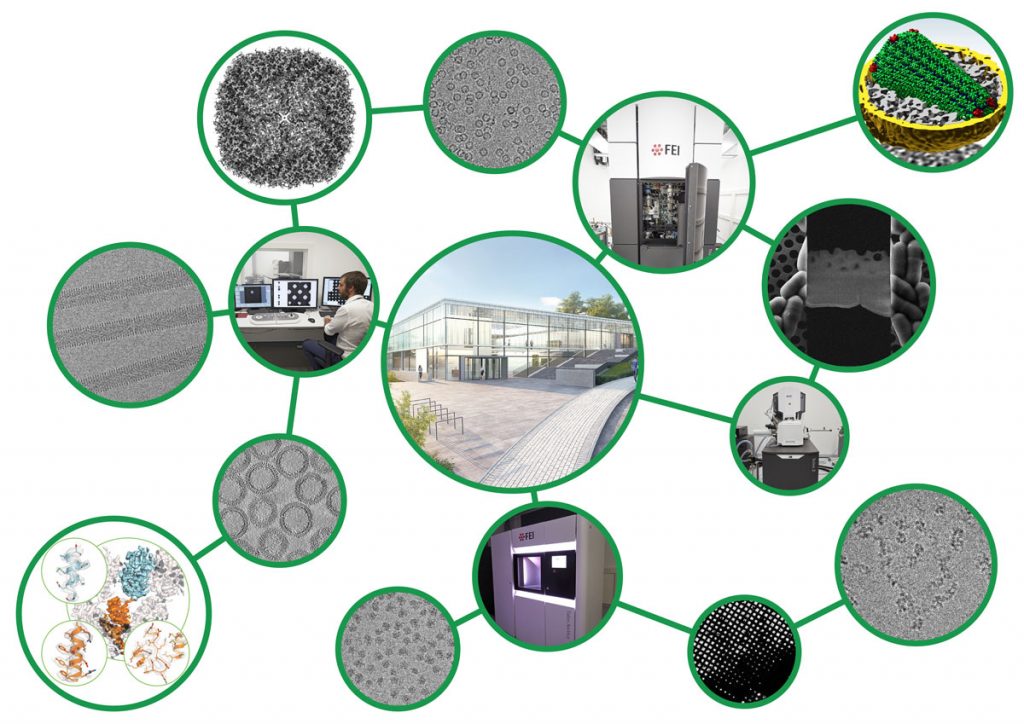 Figure 1: The Mattei team at the new EMBL Imaging Centre will provide services and develop methods for single-particle analysis, high-resolution tomography, cryo-CLEM, FIB milling, and cellular tomography. (Figure panels kindly provided by Florian Schur, John Briggs, Julia Mahamid, Carsten Sachse, Wim Hagen, and Felix Weis.)