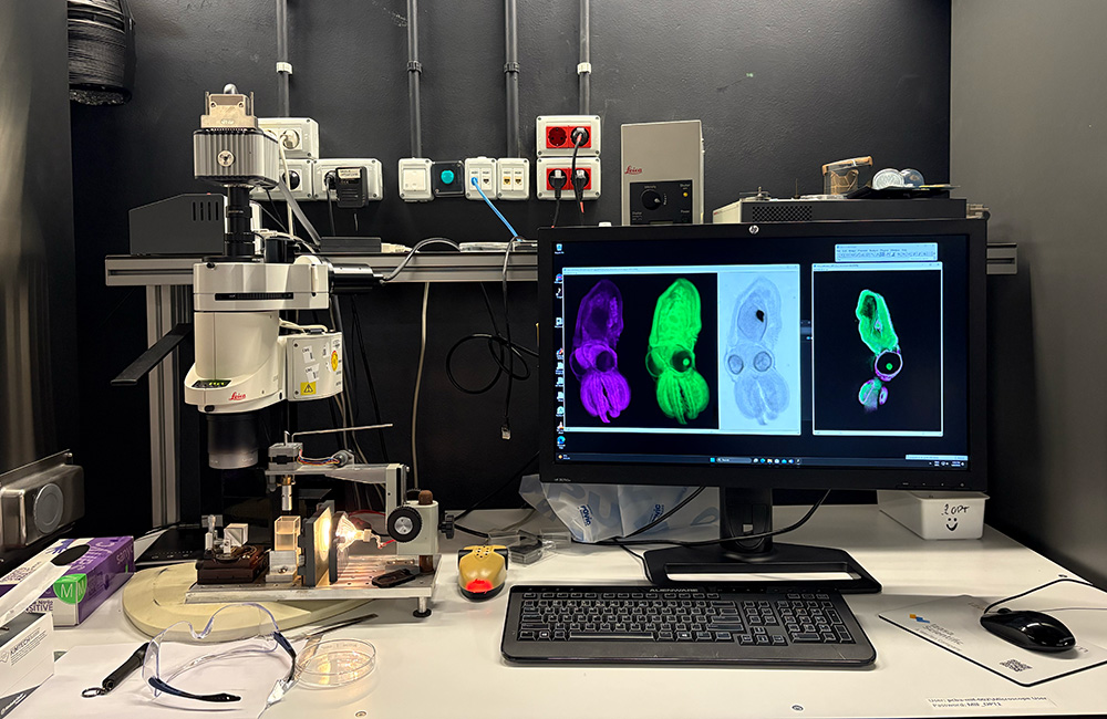 Technologies & Equipment – Mesoscopic Imaging Facility