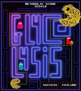 The “Pacmanoid”: This illustration portrays an early gastruloid resembling Pac-Man, navigating through a maze that spells out “GLYCOLYSIS,” eventually facing a road bifurcation with paths leading to success or failure. On its way, the gastruloid-PacMan needs to avoid the ghosts in the form of the complexes I-IV of the electron transport chain, while successfully consuming all the sugar (dots), thus illustrating the path gastruloids need to follow to reach an embryo-like state. © Alba Villaronga-Luque, Ryan G Savill et. al / MPI-CBG
