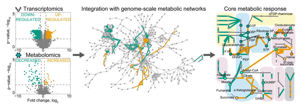 Figure 1: Multi-omics integration with graph-based approaches on genome-scale metabolic networks