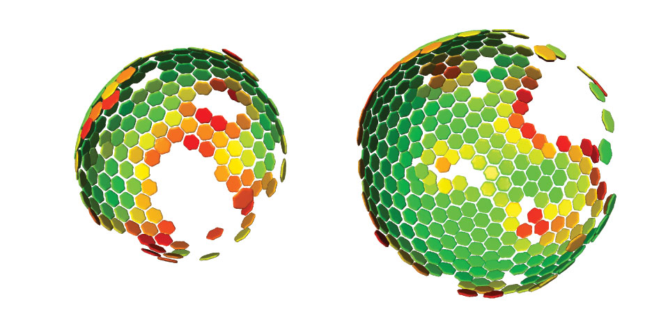 Lattice maps for immature HIV particles. The 3D computer reconstruction shows the immature Gag lattice of HIV that matures to form the protein shell of the infecious virus. Maps are shown in perspective such that hexamers on the rear surface of the particle appear smaller. The side of the particle toward the viewer lacks ordered Gag. IMAGE: John Briggs/EMBL