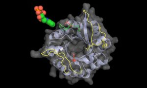 3D structure of Mycobacterium tuberculosis’ enzyme PriA