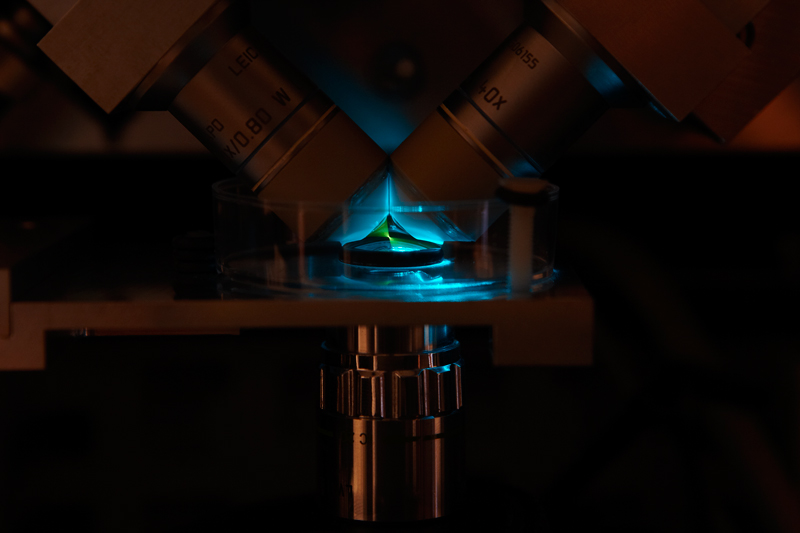 The new microscope that developed by scientists at EMBL, which can follow single molecules by the millisecond Credit: EMBL/H.Neves.