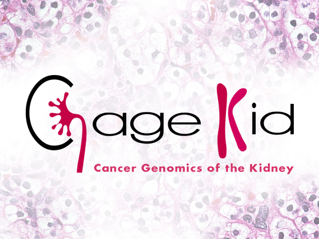 CAGEKID: Cancer genomics of the kidney