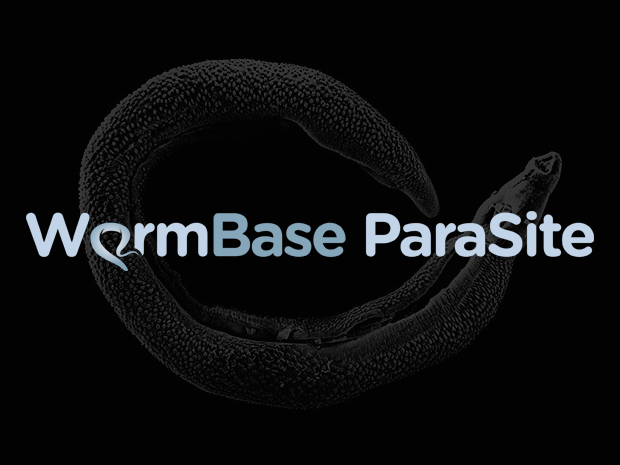 WormBase Parasite