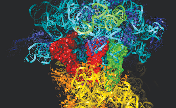 Nobel Prize laureate Professor Ada Yonath carried out experiments at the DORIS synchrotron at DESY to identify the structure of the ribosome. IMAGE: iycr2014.org