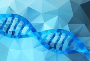 yourgenome.org