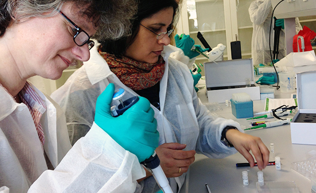 Getting hands-on experience making crystals.