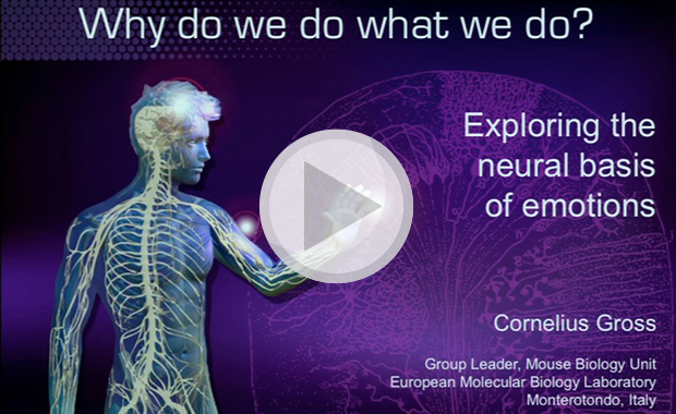 Insight lecture 2014: Why do we do what we do? Exploring the neural basis of emotions. View video on demand. 