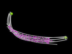 The team used computer simulations to investigate the mitotic spindle's strength. IMAGE: EMBL/F. NÉDÉLEC