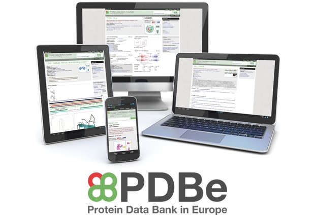 PDBe launches a new, responsive, interactive website for structural biology