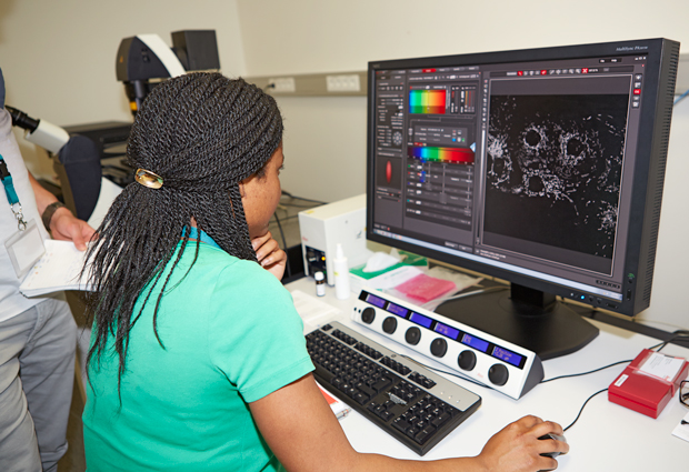 Hands-on sessions were a crucial part of the course. PHOTO: EMBL Photolab/Marietta Schupp