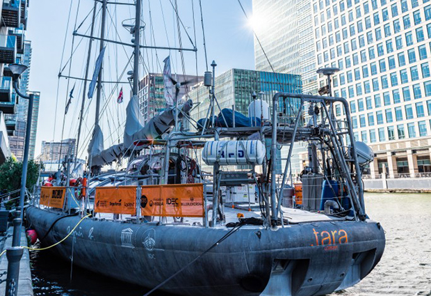 Tara expeditions docks in London, September 2015, on its way to the UN Climate Change Conference in Paris. [PHOTO: Robert Slowley]