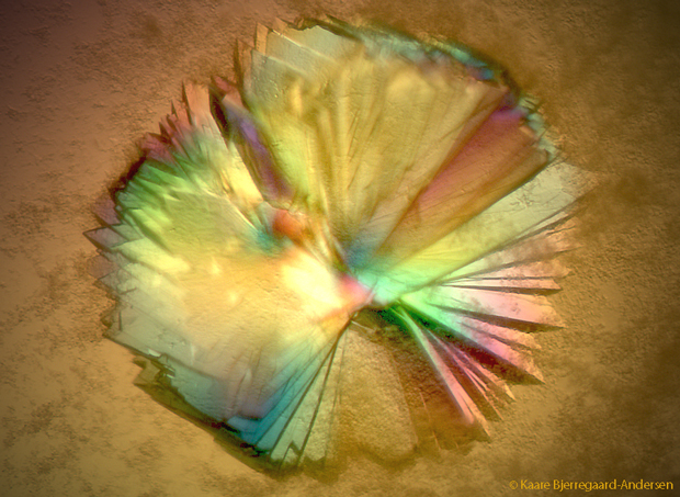 Crystal Sun by Kaare Bjerregaard-Andersen (NCMM)