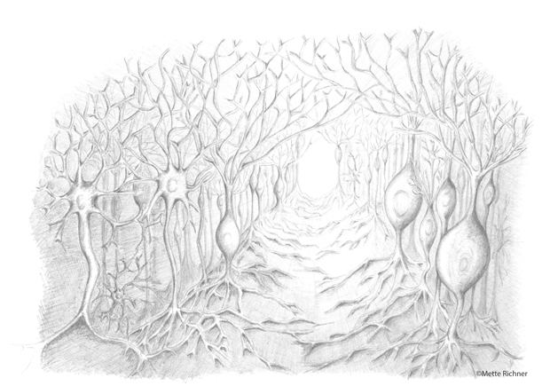 Dendritic Forest by Mette Richner (DANDRITE)