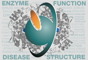 Enzyme Portal relaunched