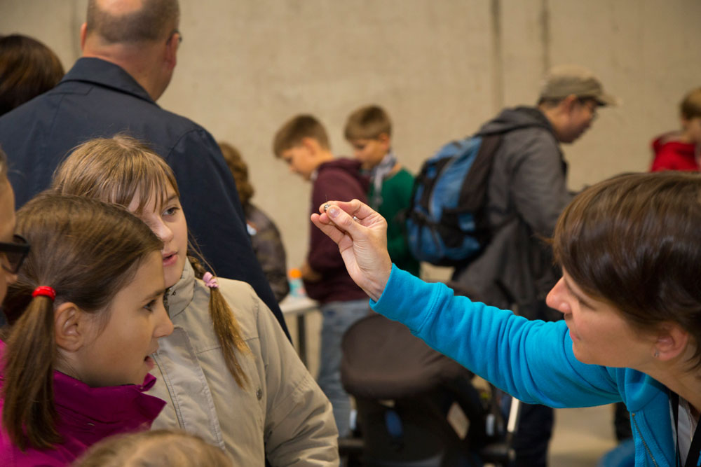 Explaining to our visitors how small our real 'fishing rods' are for fishing crystals! PHOTO: EMBL/Rosemary Wilson