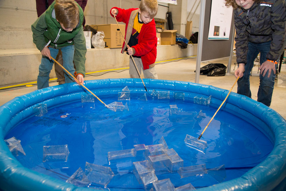 Fishing for crystals. PHOTO: EMBL/Rosemary Wilson