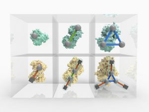 Periodic Table of Protein Complexes, Ahnert et al., Science 2015