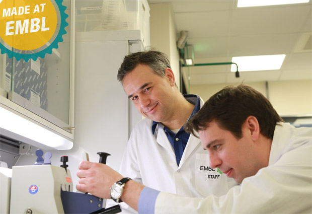 Rob Meijers and Stephane Boivin at the Sample Preparation and Characterisation facility. PHOTO: EMBL/Rosemary Wilson