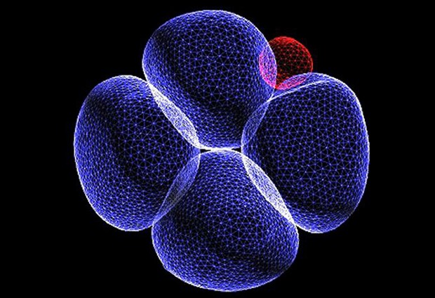 Zernicka-Goetz lab, University of Cambridge