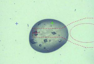 CrystalDirect robot control software: signal from a video camera monitoring the laser working area within a microplate (centre), used to locate the aperture (green trace) and cutting shape (red line), and to select final position of pin tip relative to the crystal (red oval). IMAGE: Zander, U, et al.