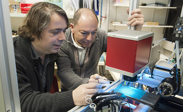 Florent Cipriani (right) developed CrystalDirect™ together with Josan Marquez (left) PHOTO: EMBL