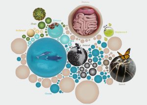 Metagenomics data at EMBL-EBI