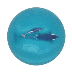 Marine microbiomes