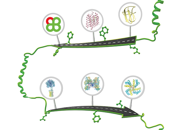 IMAGE: EMBL/Spencer Phillips