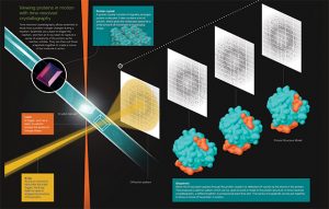 Viewing proteins in motion with time-resolved crystallography