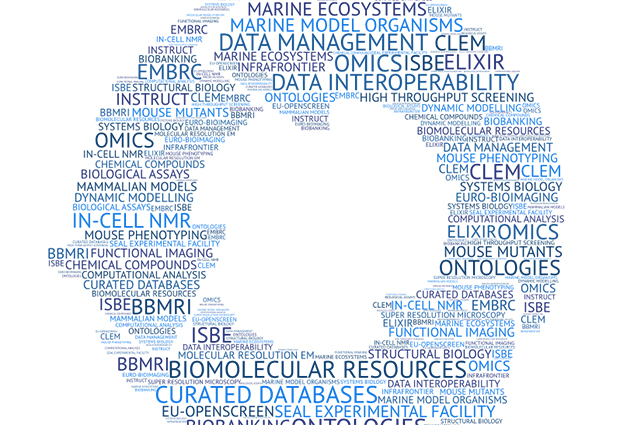 CORBEL supports scientists working on advanced research projects in areas from advanced imaging, high-throughput screening and mouse mutant phenotyping. IMAGE: CORBEL