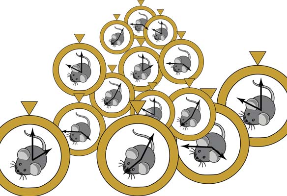 Artist's interpretation of the mouse epigenetic clock.