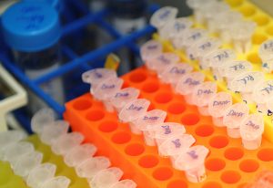 Biological samples held in a biobank. (Stock image courtesy of CRG.)