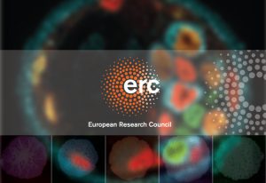 European Research Council (ERC)