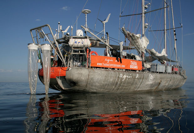 An image of Tara which was sailed around the world for four years during the Tara Oceans expedition. PHOTO by S Bollet/Tara Expeditions