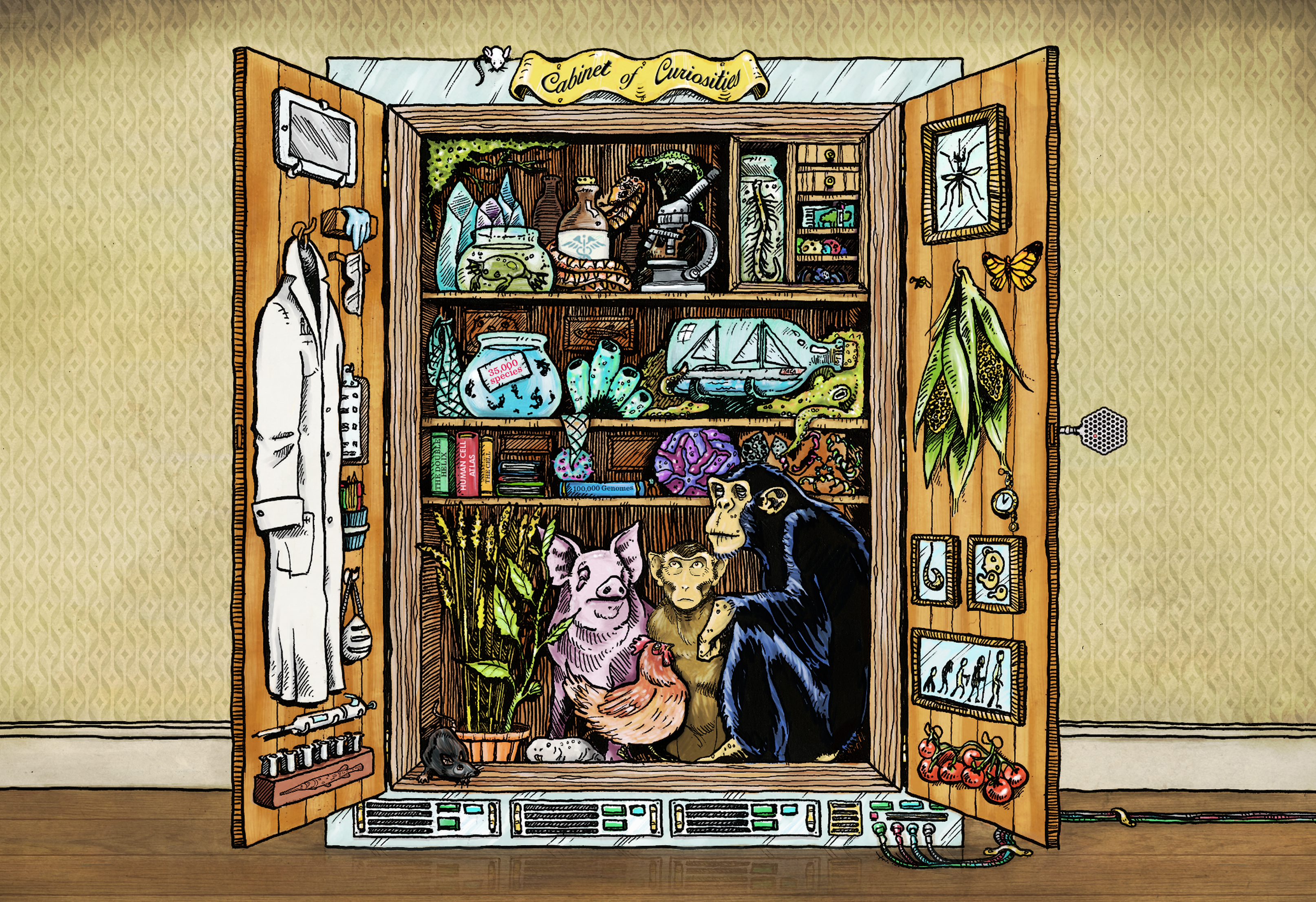 Cabinet of Curiosities