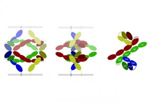 Schematic reconstruction of the Robo1 structure. IMAGE: Andrew McCarthy / Structure