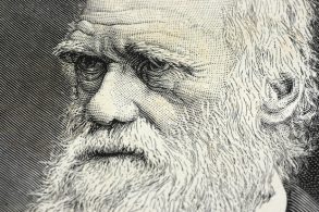 Charles Darwin portrait gravure - Darwin’s studies of orchids firmly established the idea that many types of flowers are pollinated by insects. PHOTO: iStock