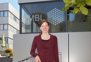 New EMBL group leader Sara Cuylen-Häring will explore biophysical properties of chromosomes and other cellular assemblies.