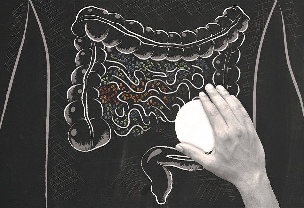 Commonly used drugs affect our gut bacteria.