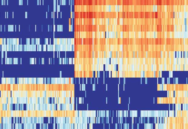 A heatmap graph displaying high (red) or low (blue) levels of gene expressions in different cells.