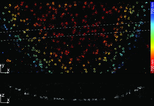 A 2D dataset reconstructed to show the protein's 3D quality, using the newly developed software