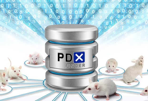 White mice next to representation of PDX Finder data repository