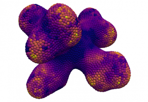 The Sharpe group at EMBL Barcelona is using GPUs to build agent-based models for morphogenesis, like this branching sequence.