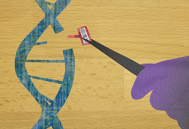 New Platform Transforms CRISPR Gene Editor Into Precision Tool. IMAGE: Irvine/NIST