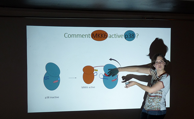 Pauline Juyoux presents the molecules important for inflammation alongside Erika Pellegrini at the event in Grenoble.