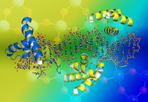 New method using silica-based columns simplifies the extraction of DNA – and RNA-protein complexes. IMAGE: Adobe stock